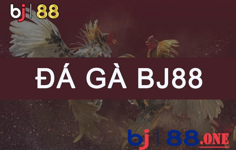 Đá gà Bj88 có gì