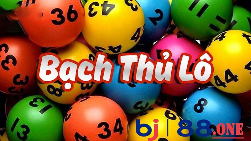 Bạch thủ lô là gì?