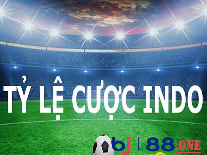 Kinh nghiệm từ cao thủ